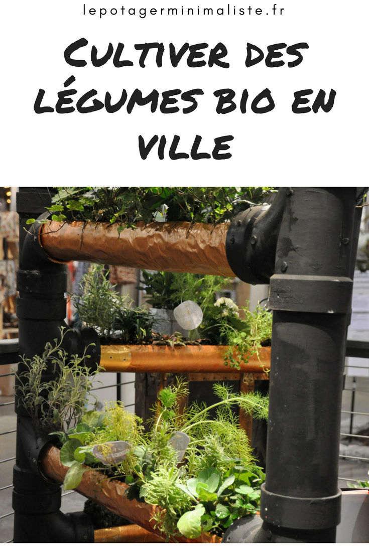 potager-balcon-terrasse-legumes-bio-ville-pinterest
