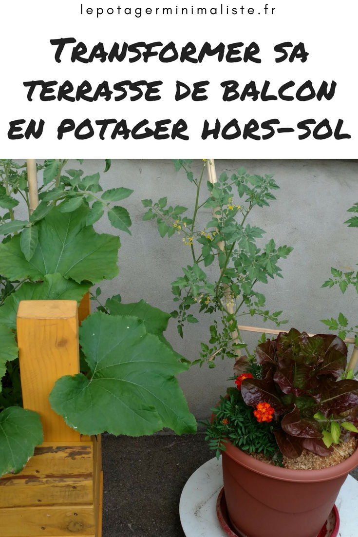 pot-fleurs-comestible-laitue-tomate-oeillet-courgette-pinterest