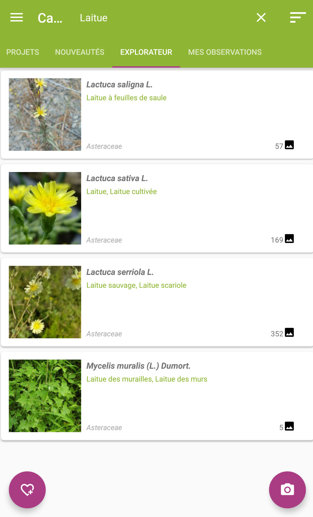 Les applications mobiles pour la permaculture urbaine / Plantnet