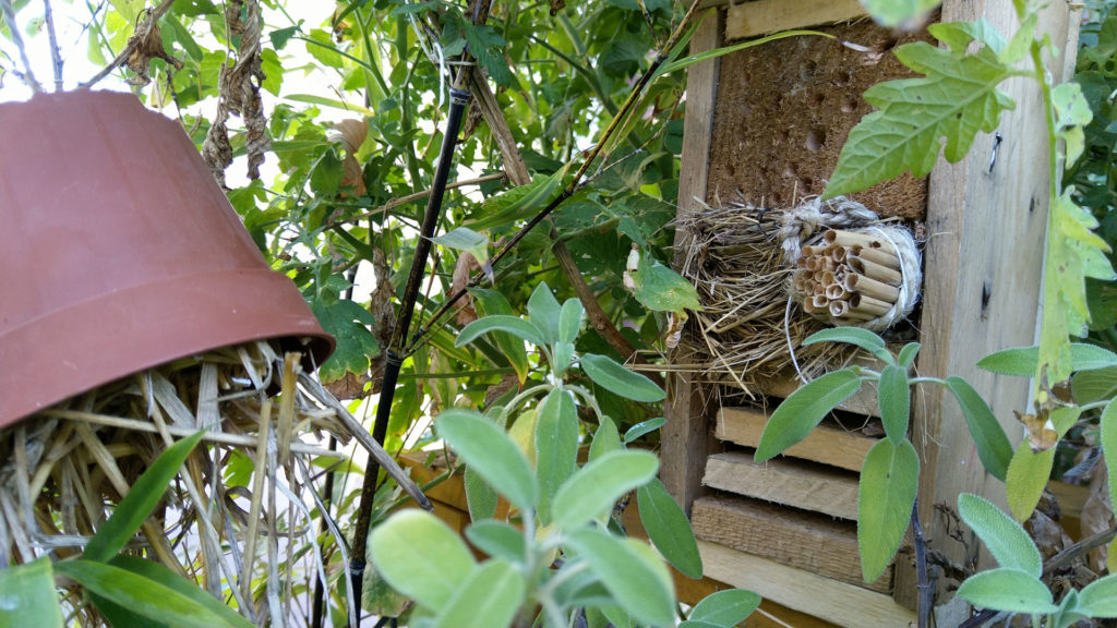 chambres-hotel-insectes-potager-terrasse-balcon