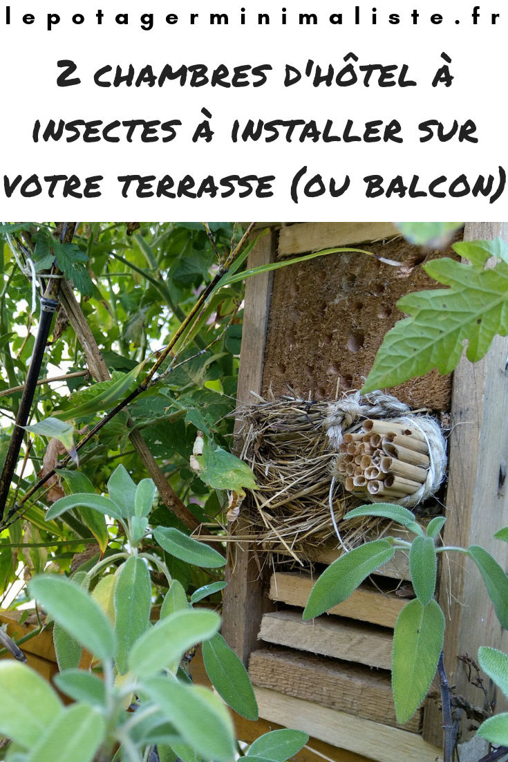 chambres-hotel-insectes-potager-terrasse-balcon-pinterest