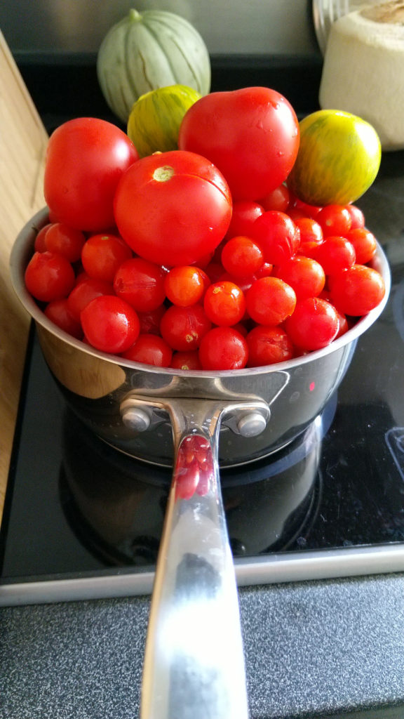 recolte-tomate-potager-balcon-terrasse