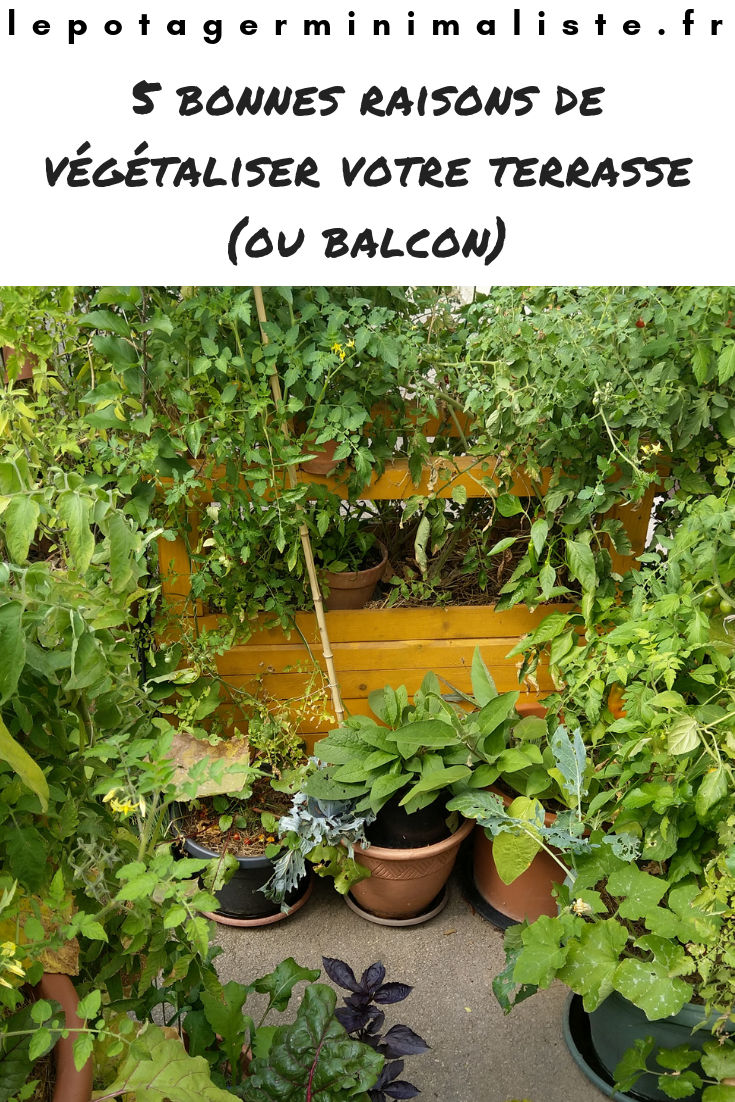 vegetaliser-balcon-terrasse-potager-bio-pinterest