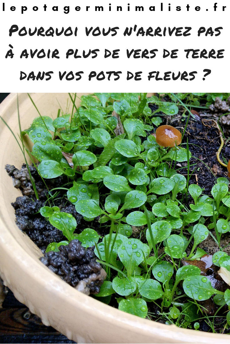 vers-terre-pots-fleurs-sol-vivant-pinterest