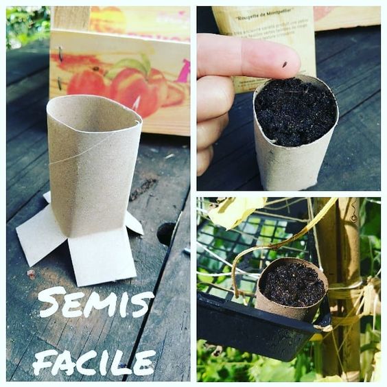 semis-facile-zero-dechet-permaculture
