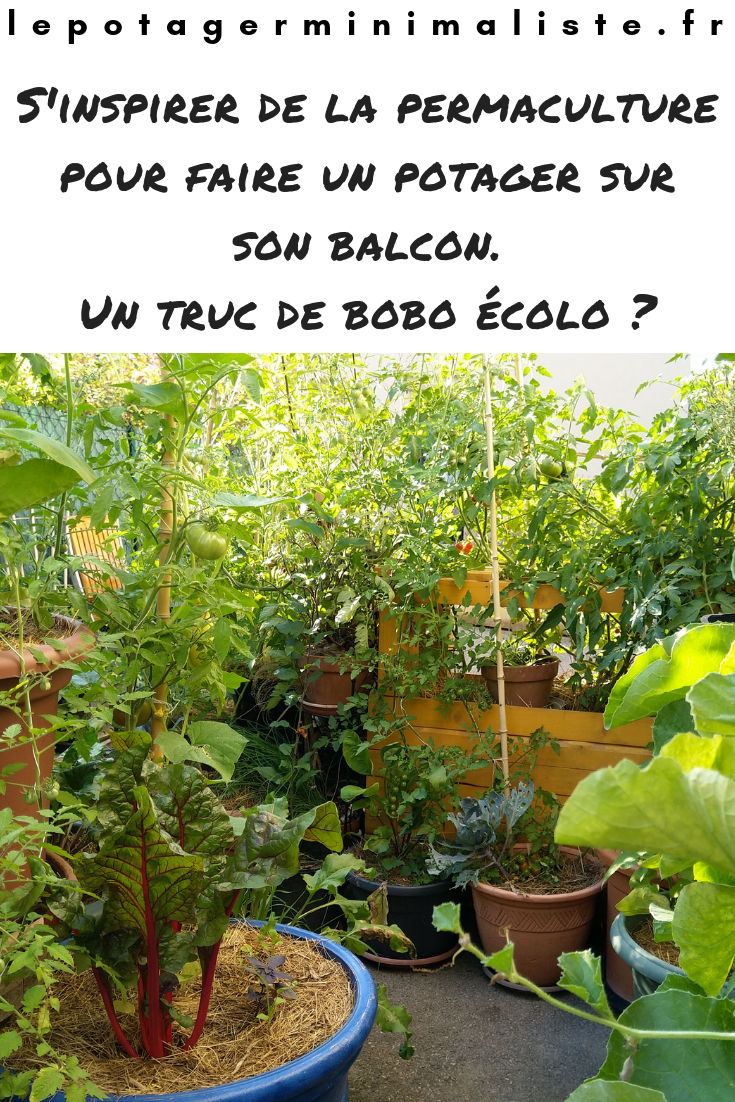 permaculture-urbaine-balcon-bobo-ecolo-pinterest