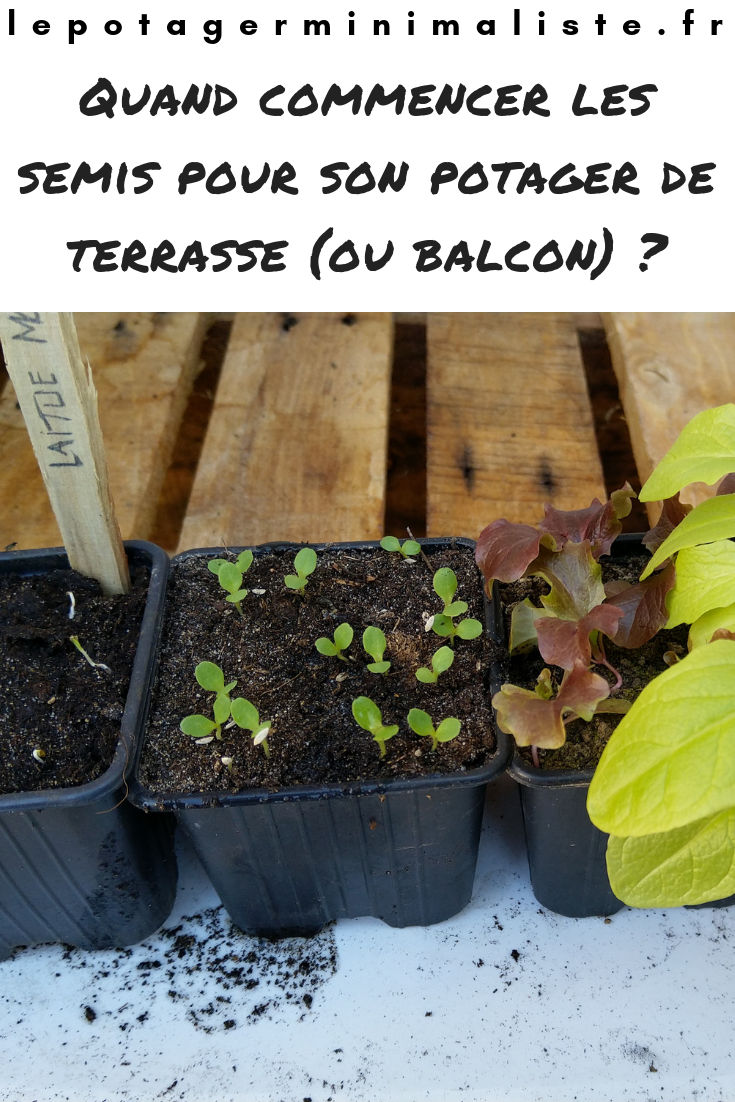 date-semis-potager-balcon-terrasse-pinterest