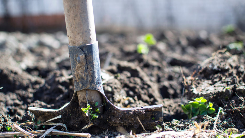 permaculture-agriculture-urbaine-jardinier-municipal