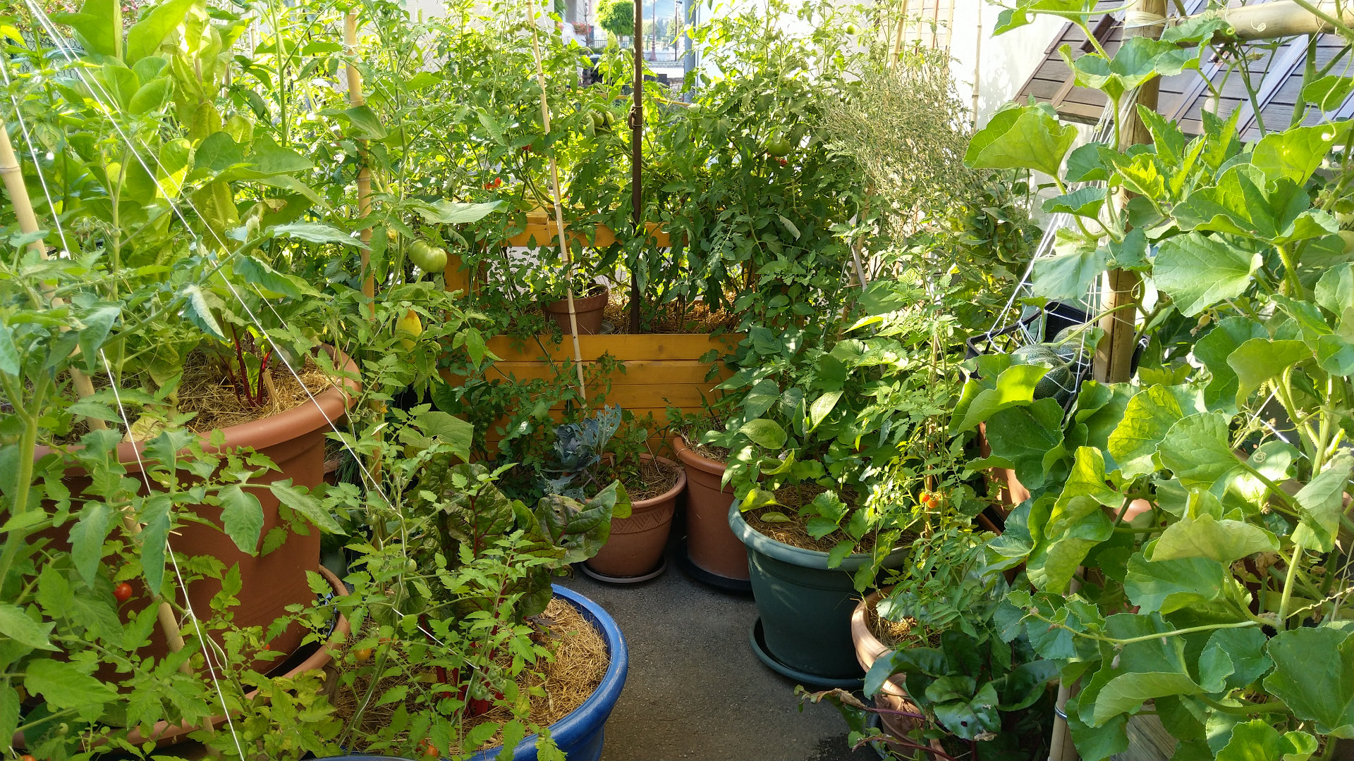 jardin-foret-balcon-terrasse-permaculture