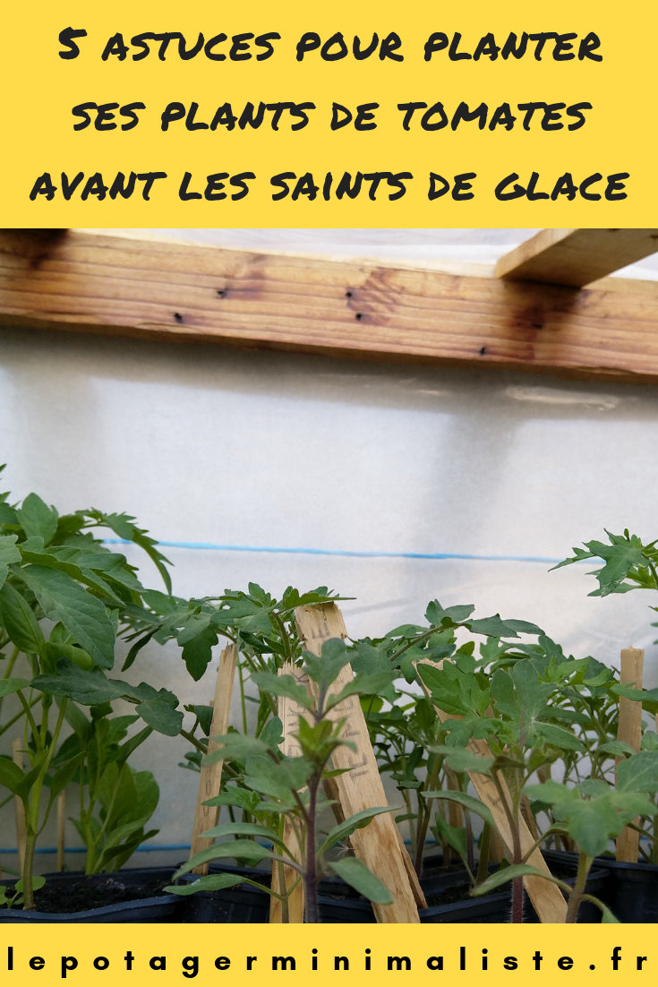 astuces-plantation-tomate-saints-glace-pinterest
