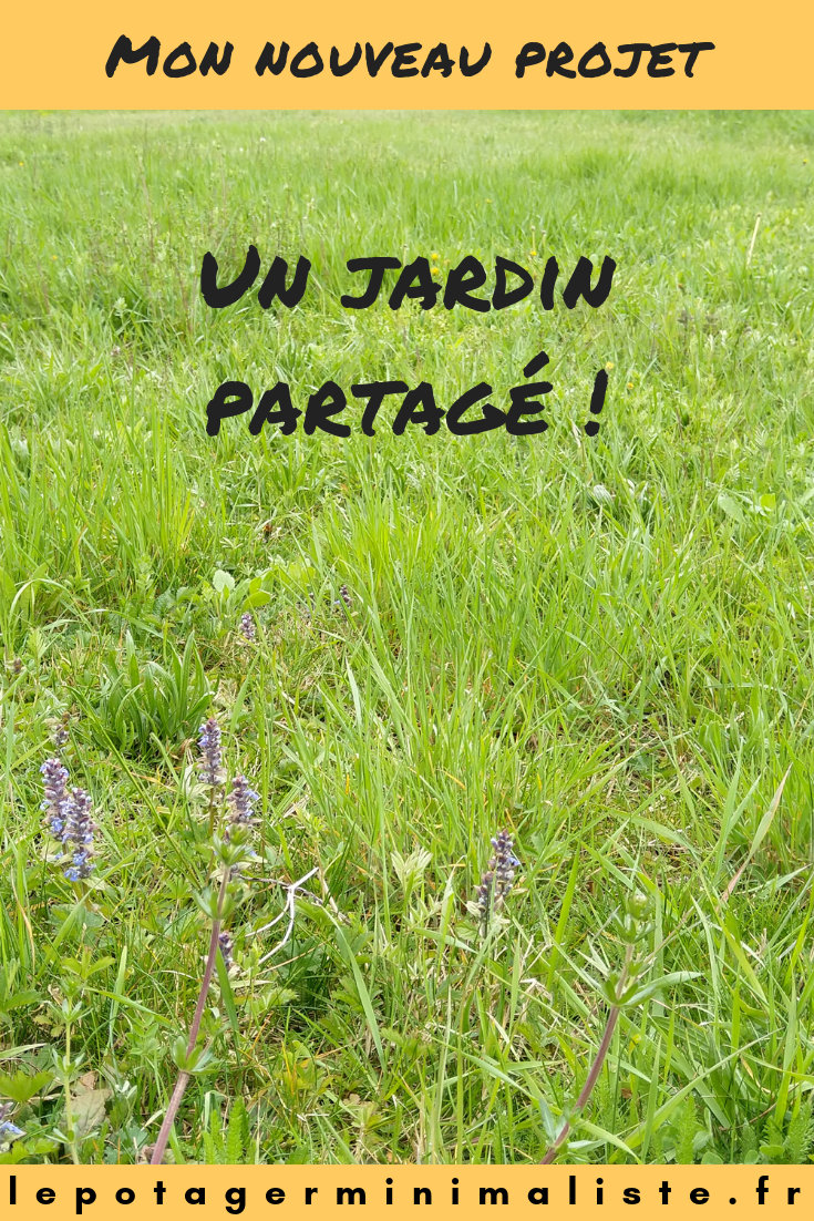 Mon Nouveau Projet Creer Un Jardin Partage Bonus