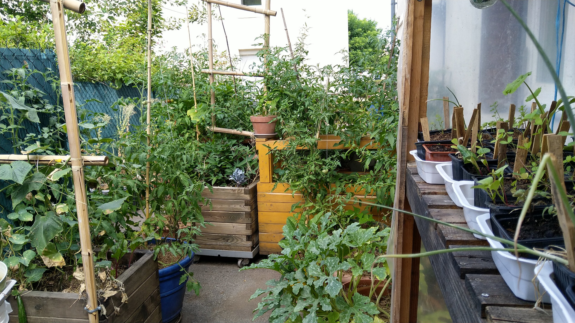La permaculture sur terrasse de balcon permet-elle de créer un potager autonome ?