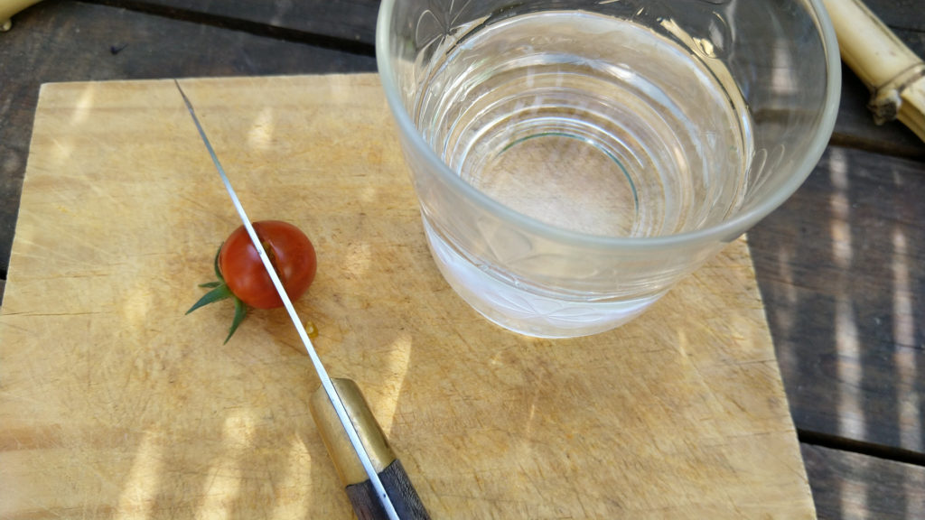 recolte-graine-tomate-coupe-couteau