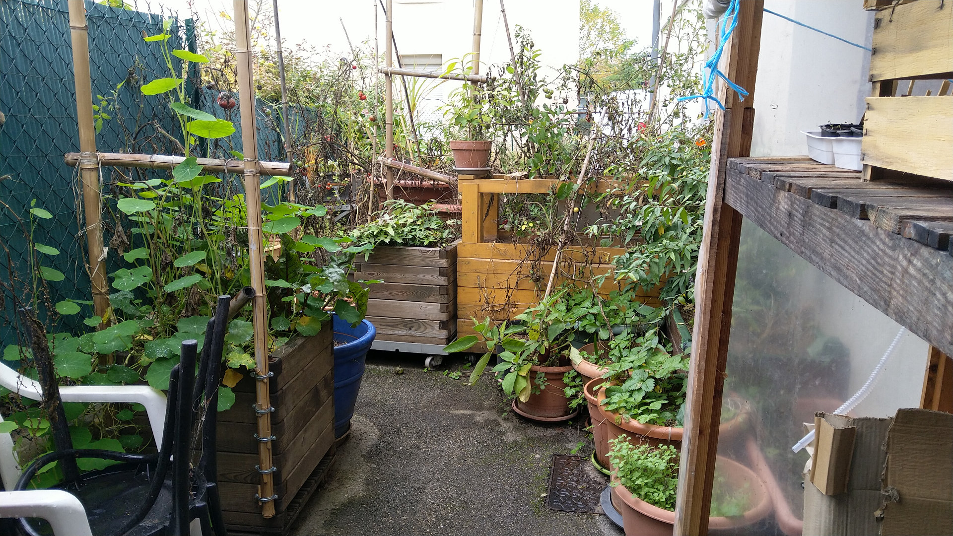 reorganiser-balcon-potager-hiver-permaculture