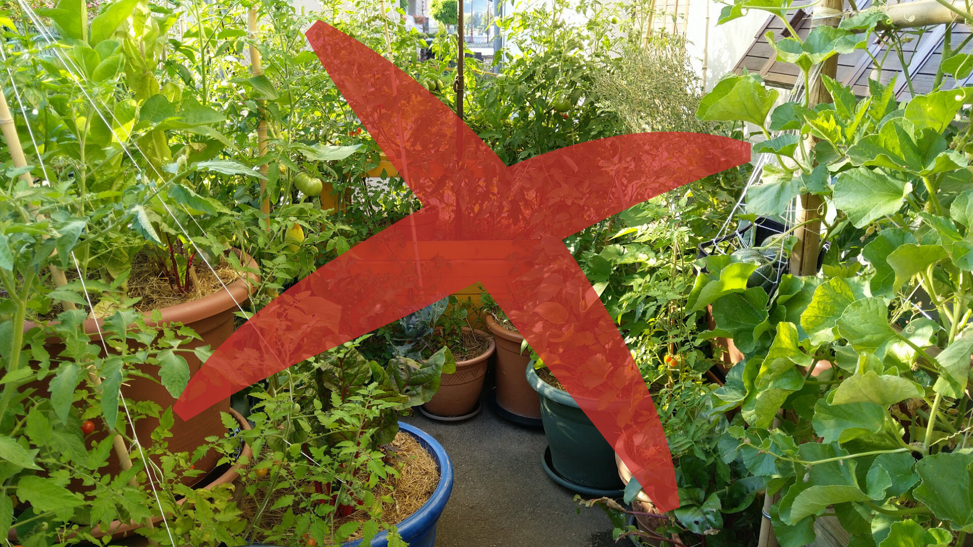 3 fausses bonnes raisons de jardiner en permaculture sur son balcon