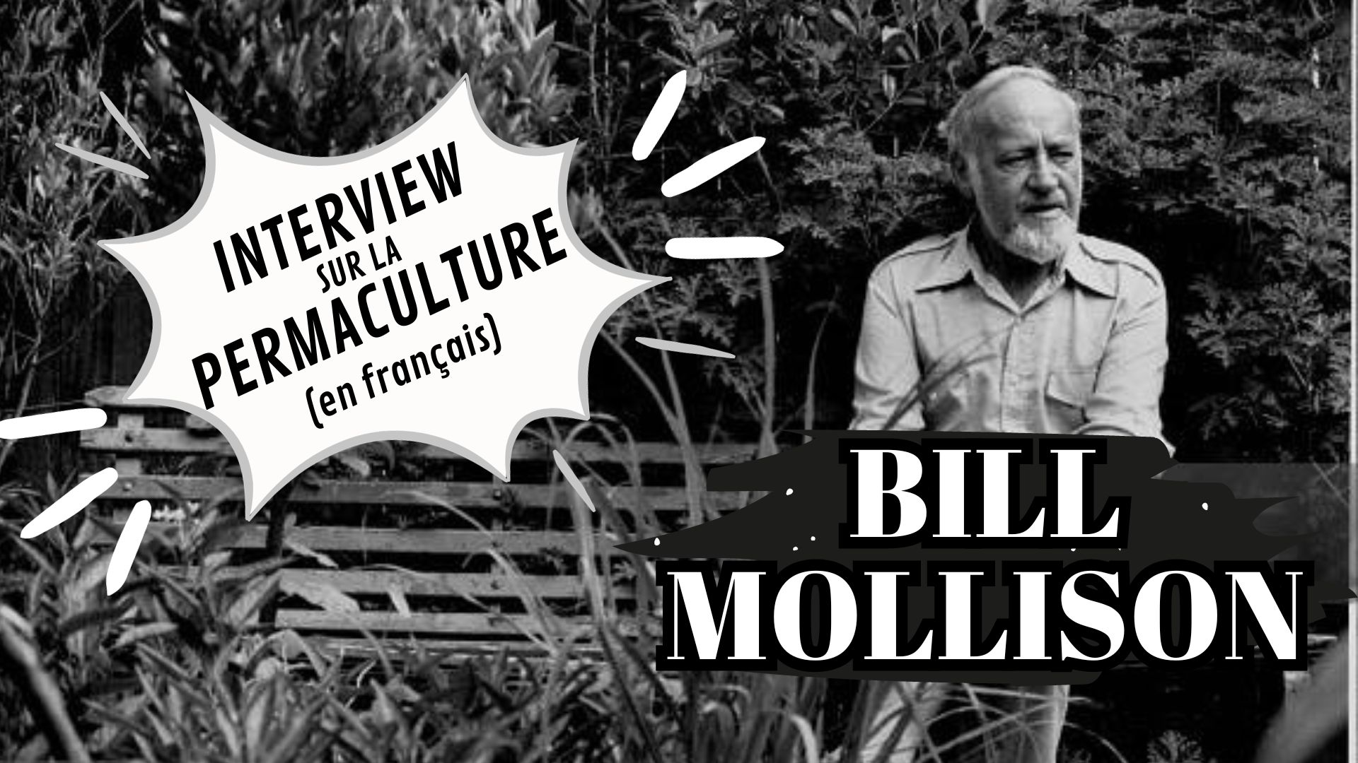 interview-permaculture-francais-bill-mollison