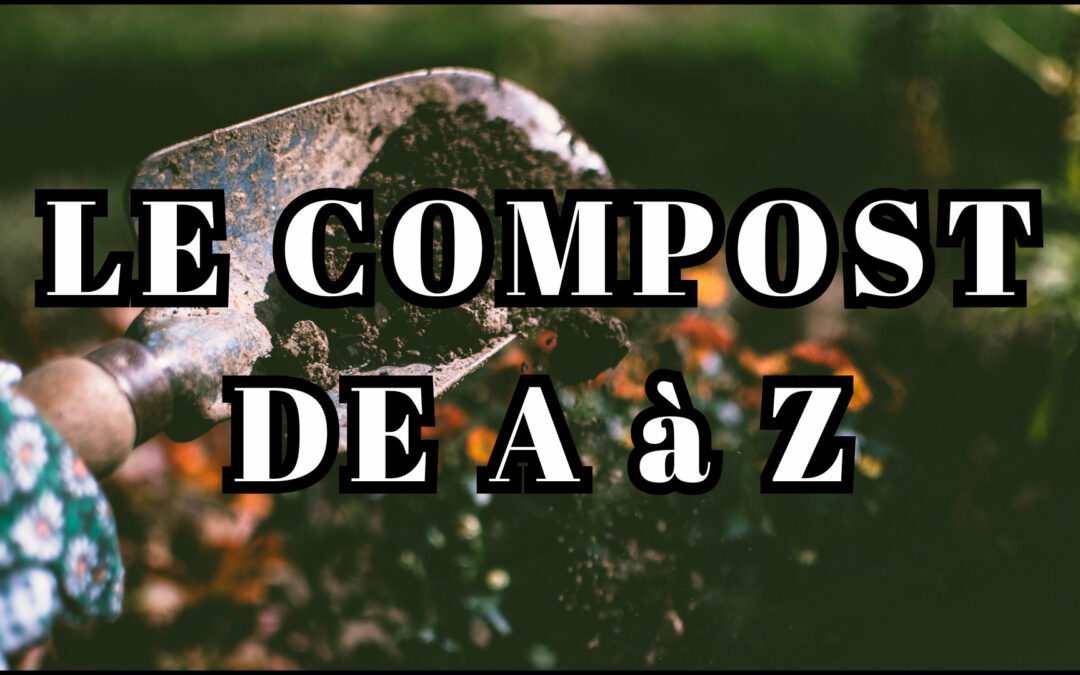 Choisir un composteur et réussir son compost : LE GUIDE COMPLET DU COMPOSTAGE !