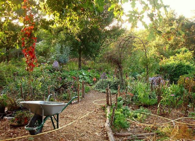 bureau-paysagiste-permaculture-isère