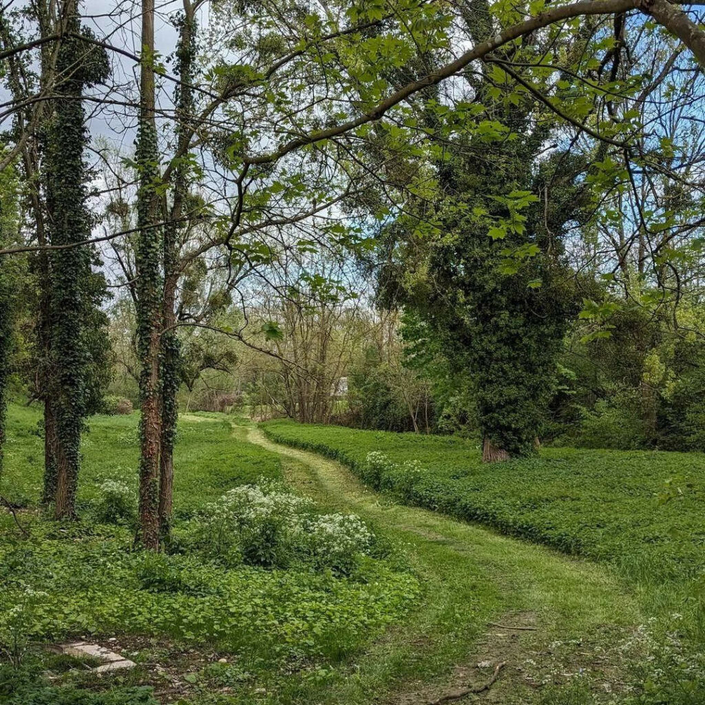 tonte-differenciee-chemin