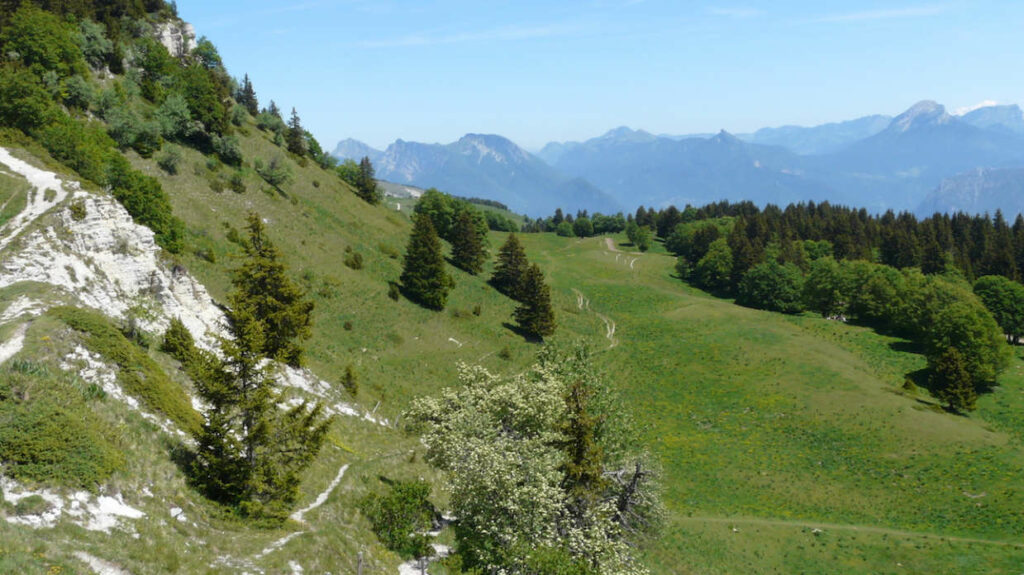 cirque-molière-bellecombe-vercors-marmotte