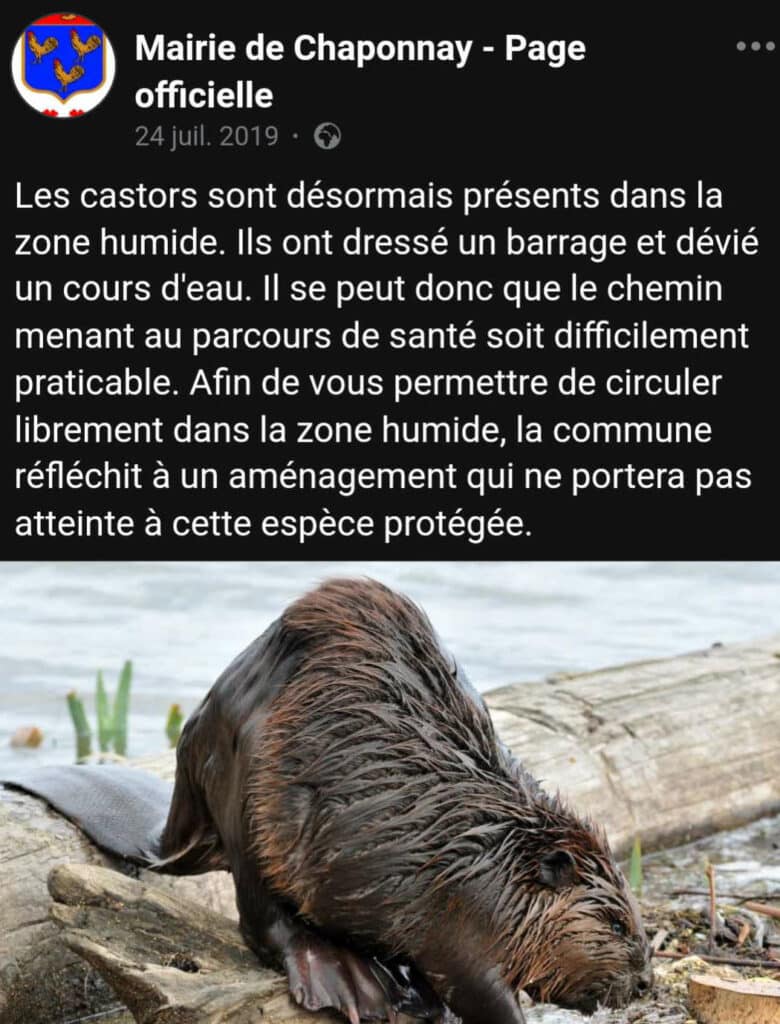 castor-chaponnay-mairie