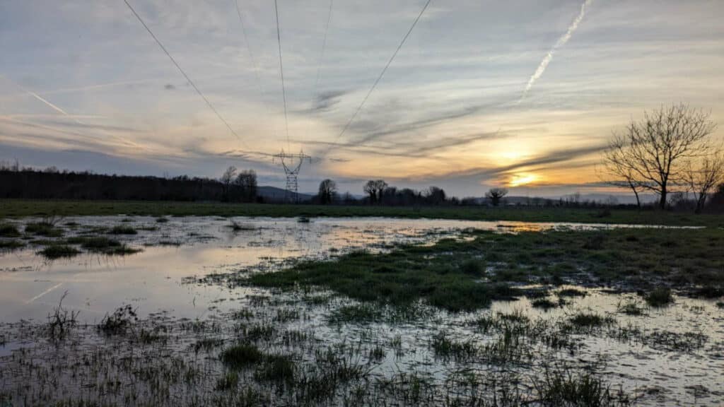 zone-humide-sauzaye-innondation-chaponnay
