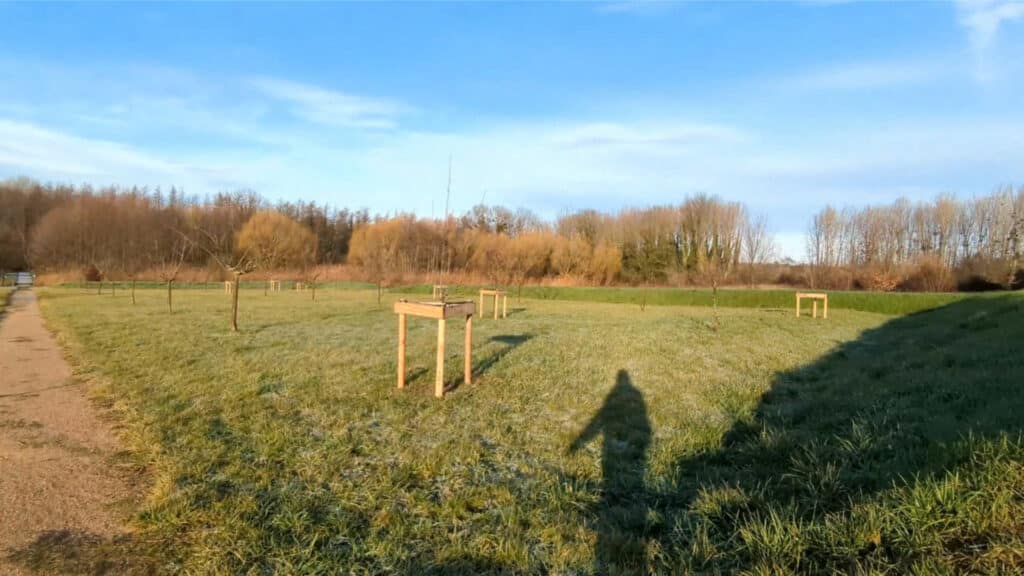 zone-humide-sauzaye-verger-chaponnay