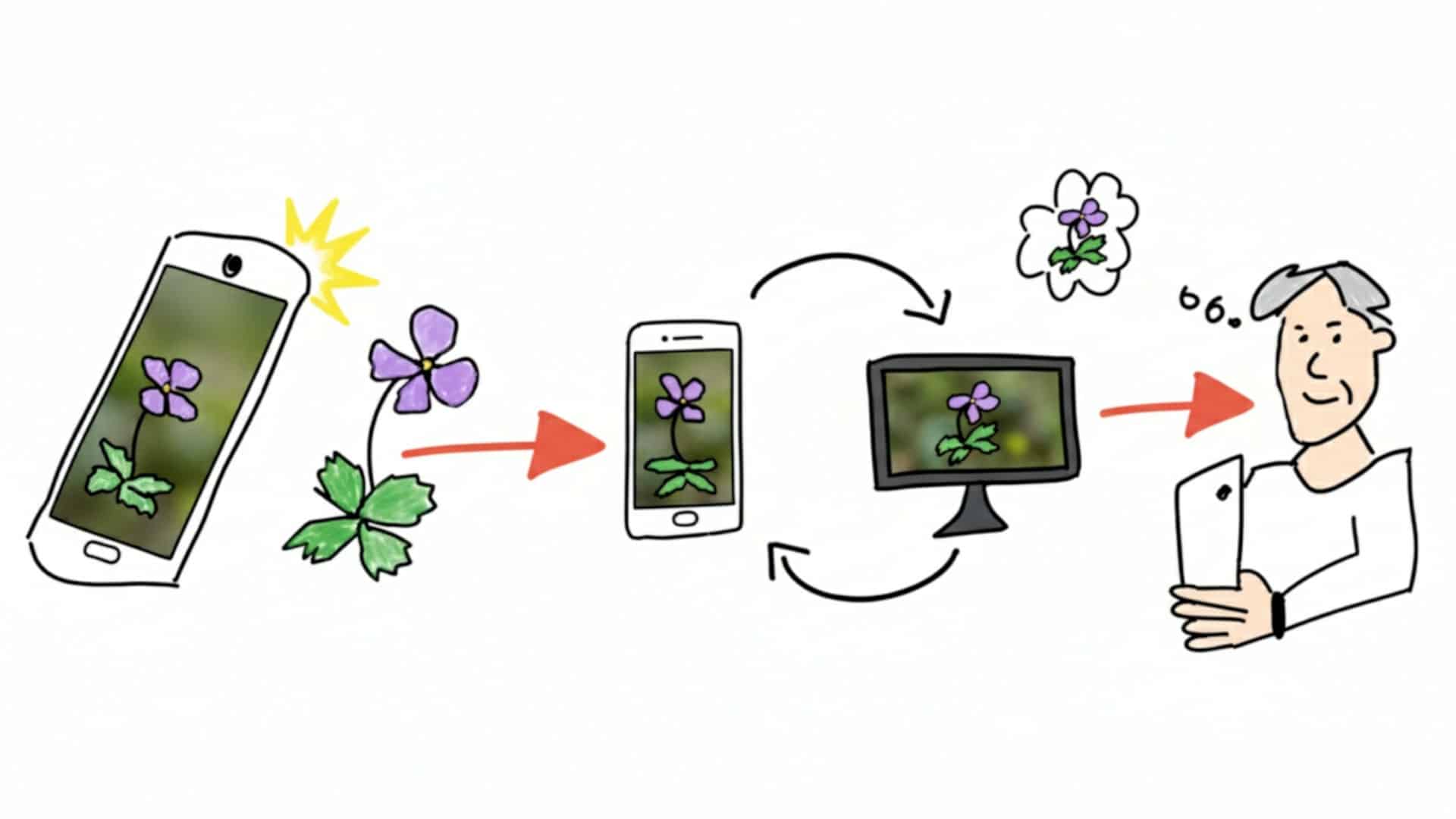 herbier-numerique-smartphone herbier-numerique-smartphone